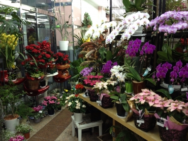 群馬県桐生市の花屋 花清にフラワーギフトはお任せください 当店は 安心と信頼の花キューピット加盟店です 花キューピットタウン